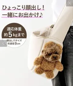 Item thumbnail for item 1456f138-f03d-4a85-a881-14f8d704ba13