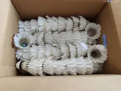 Item thumbnail for item 2e642a86-7038-437d-a4b7-bca2e8889a97