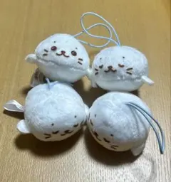 しろたん ぬいぐるみ マスコット 4個セット