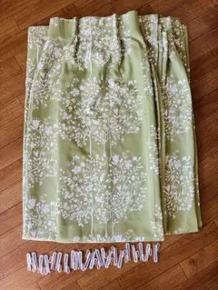 Item thumbnail for item 7059e70a-681d-431e-a11c-bcac6f79d9b5