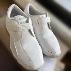 Item thumbnail for item 5d7f6973-be52-4196-a78a-898258fff444