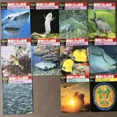 爬虫類 両生類 飼育 トカゲ 飼い方 飼育環境 飼育入門 図鑑本雑誌書籍