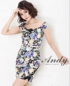 即完売大人気Andyキャバドレス♡新品未使用 1月限定大セール購入お値下げOK！