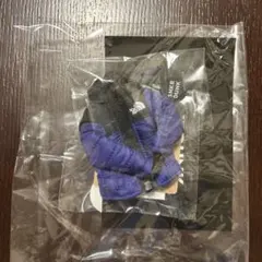 The North Face ダウンジャケット 青/黒