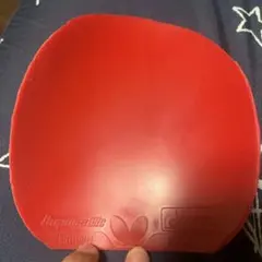 ディグニクス 09C 加工アリ　タマス　バタフライ　卓球　ラバー