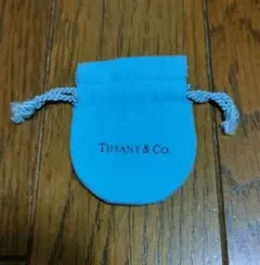 Item thumbnail for item bfc9fb6f-0ee9-4f3e-8f28-290aa818068d