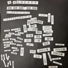 Item thumbnail for item 544f262e-a1cd-4638-aba8-0b3013522340