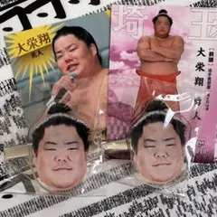大栄翔　大相撲ガチャ　2点セット　フェイスヘアピンver.2 おまけ付き