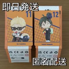 ハイキュー 月島蛍 山口忠　POP MART ポップマート フィギュア