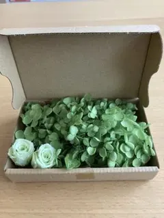 プリザーブドフラワー アジサイ　　　ローズ　花材 の詰め合わせ