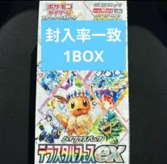 1box ポケモンカード テラスタルフェスex