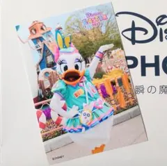 2022 スペシャルフォト デイジー ディズニーリゾート イースター