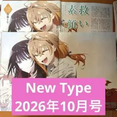 魔法少女リリカルなのは EXCEEDS ピンナップ 記事 切り抜き