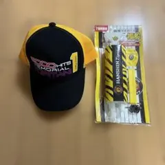 Item thumbnail for item b4f0f155-5ca0-46c9-bc82-efcfd63d9f69