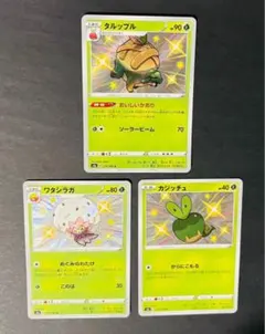ポケモンカード タルップルs ワタシラガs カジッチュs