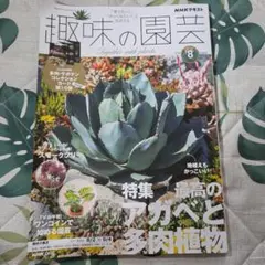 NHKテキスト 趣味の園芸 2026年8月号 アガベと多肉植物