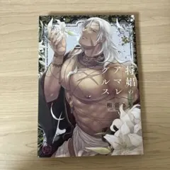 BL 将娼のアマレグルス ペーパー付き