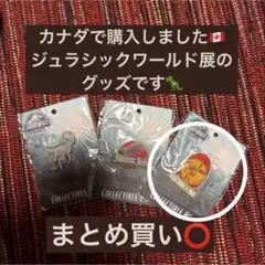 Item thumbnail for item 82d8db27-8c48-4cf7-93f4-bc39bd5e33af