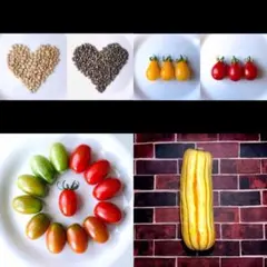 yoshiko kozuka様 リクエスト 4点 まとめ商品