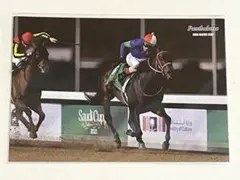 2026年最新】サウジカップの人気アイテム - メルカリ