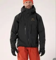 2026年最新】アルファsv 24k blackの人気アイテム - メルカリ