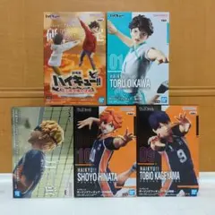 ハイキュー　フィギュア　日向翔陽　影山飛雄　月島蛍　及川徹　黒尾鉄朗　孤爪研磨