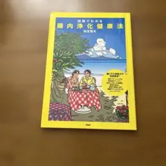 図解でわかる 腸内浄化健康法 松生恒夫
