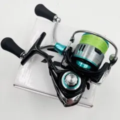 2026年最新】ダイワ(DAIWA) エメラルダス LT 2500s-DHの人気アイテム