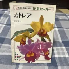 カトレア 江尻光一著 日本放送出版協会