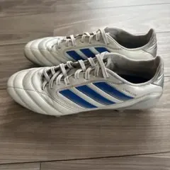 Item thumbnail for item 7b9ad567-64cf-486e-8afd-beac458ec4d1