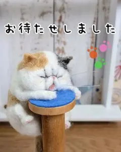 チャウ様専用です(ΦωΦ)
