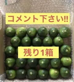 無農薬 青柚子 発送日に収穫 コメント下さい！ 無農薬 青柚子 発送日に収穫 コメント下さい！ 月曜発送予定 - メルカリ