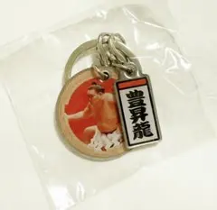 豊昇龍 大相撲ガチャ ダブルチャームメタルキーホルダー