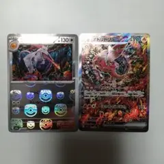 オドリドリex sar 美品　センター良好 オドリドリex sar 新 デザイン