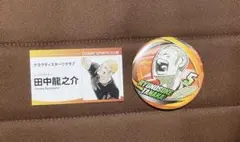ハイキュー ファンパーク 名刺カードコレクション コレクション缶バッジ 田中