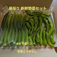 昼採り新鮮 夏野菜 甘長 とうがらし 甘とう美人 ＆ 丸 角 オクラ 食べ比べのサムネイル