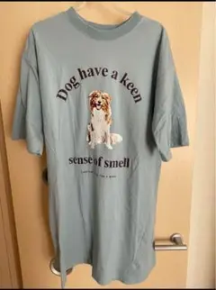 Item thumbnail for item f7c0788c-ad77-4508-bfb4-ac493598532e