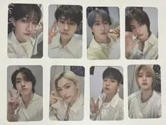 straykids STAY JAPAN FC 更新 特典 トレカ スキズ