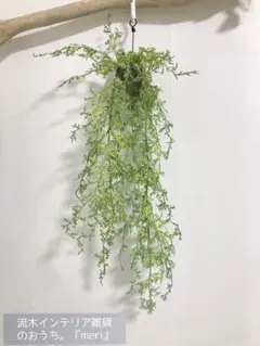 Ｎｏ．1118 流木ハンギング コーラルファーン 多肉植物 人工観葉植物