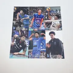 【大阪ブルテオン】 エバデダン・ラリー トレカ