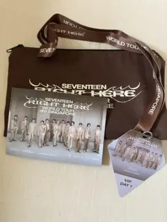 SEVENTEEN RIGHT HERE シンガポール VIP特典 3点セット