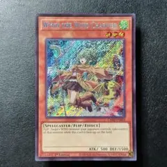 2026年最新】遊戯王OCG デュエルモンスターズ(外国語版)の人気アイテム