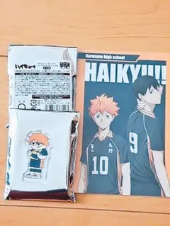 ハイキュー ジロリ トレーディング ミニアクリルブロック 日向翔陽 オマケ付