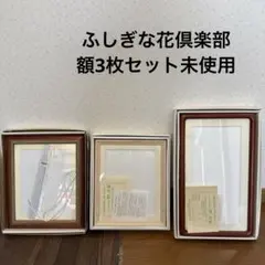 ふしぎな花倶楽部　額縁 3個セット