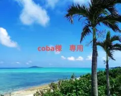 coba様専用