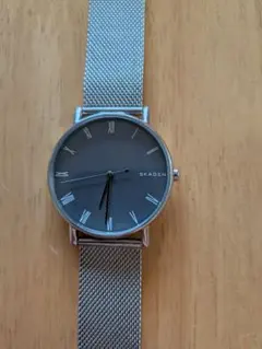 SKAGEN SIGNATUR SKW6428 腕時計 電池交換済みのサムネイル
