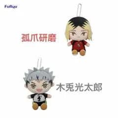 ハイキュー ぬいぐるみ 孤爪研磨 - メルカリ
