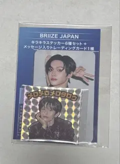 BRIIZE JAPAN ウォンビン トレカとキラキラステッカー6種セット