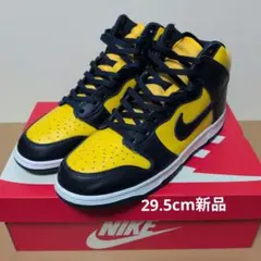 NIKE Dunk High ２０２０ミシガン 29.5cmのサムネイル