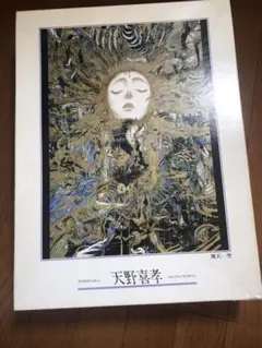 2026年最新】天野喜孝+絵画の人気アイテム - メルカリ